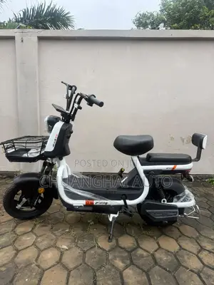 Electric Bikes