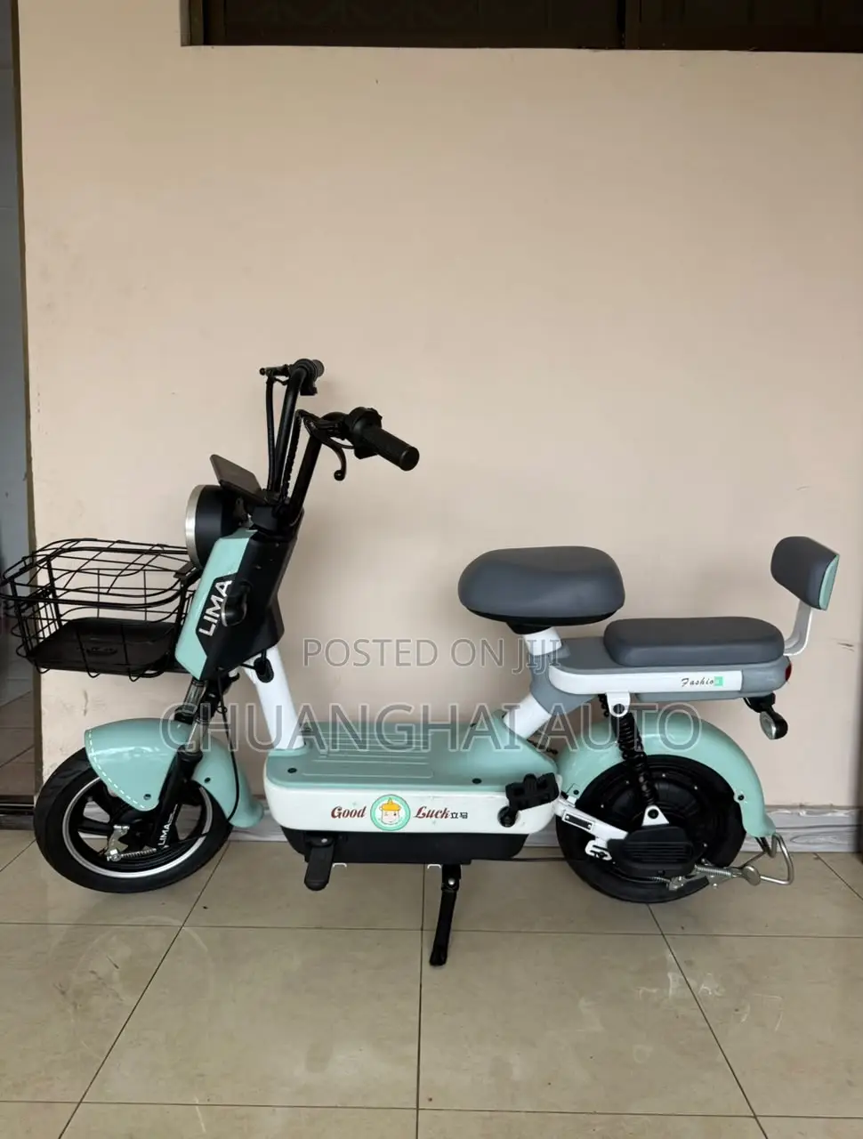 Electric Bikes