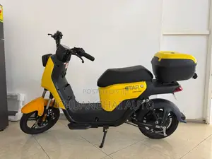 Electric Bikes
