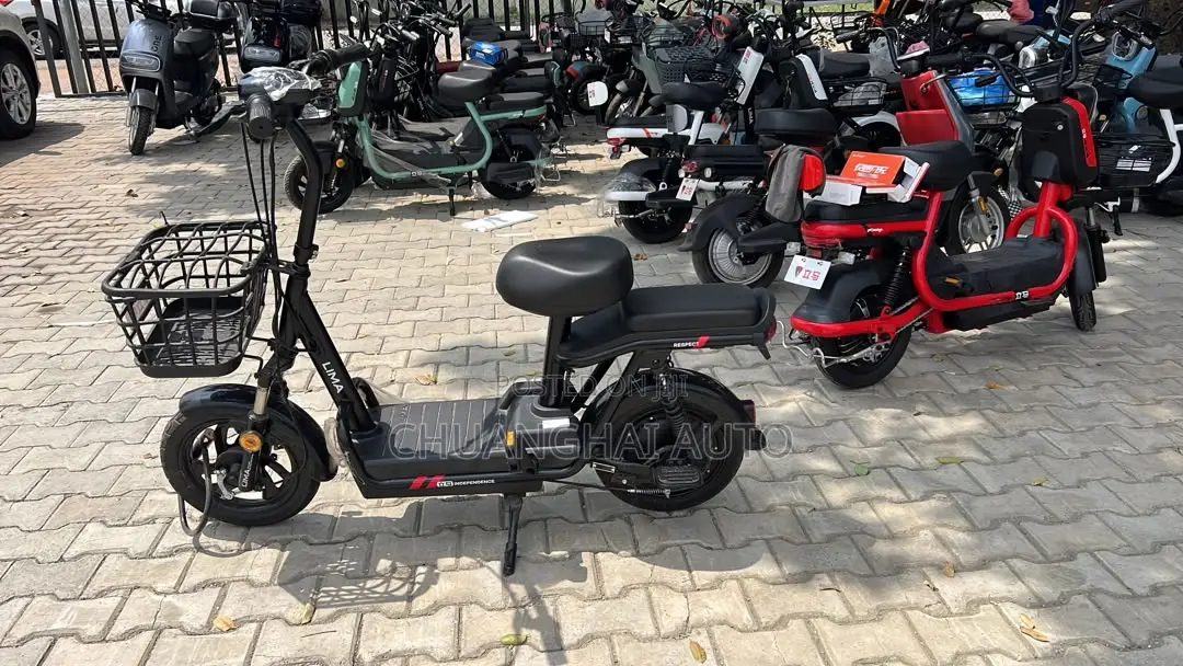 Electric Bikes