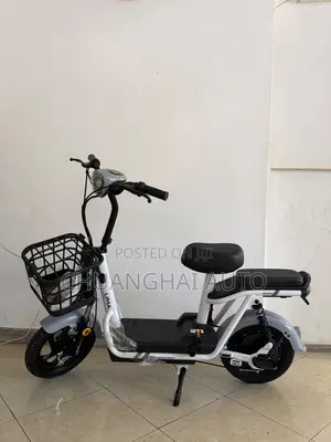 Electric Bikes