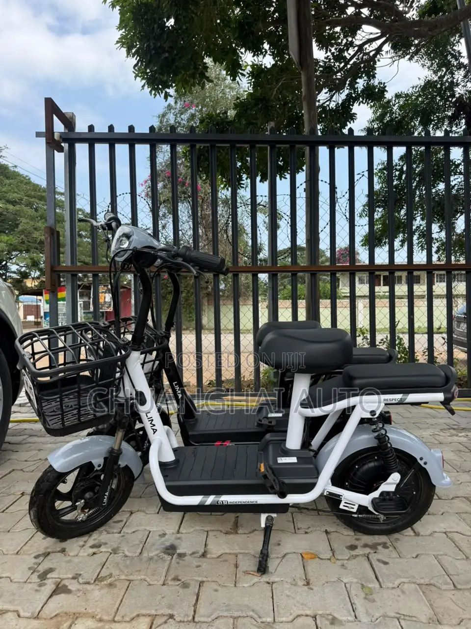Electric Bikes