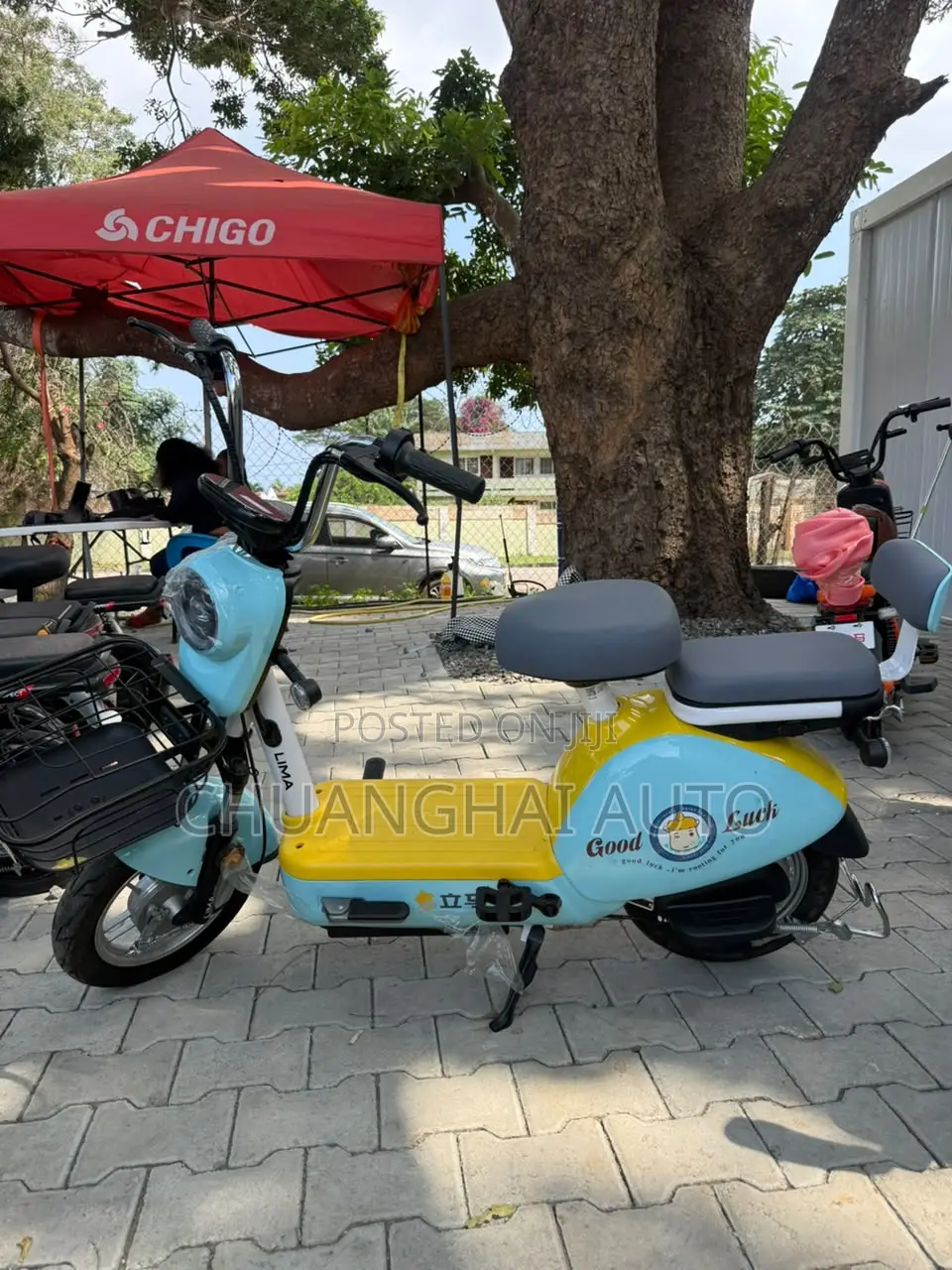Electric Bikes