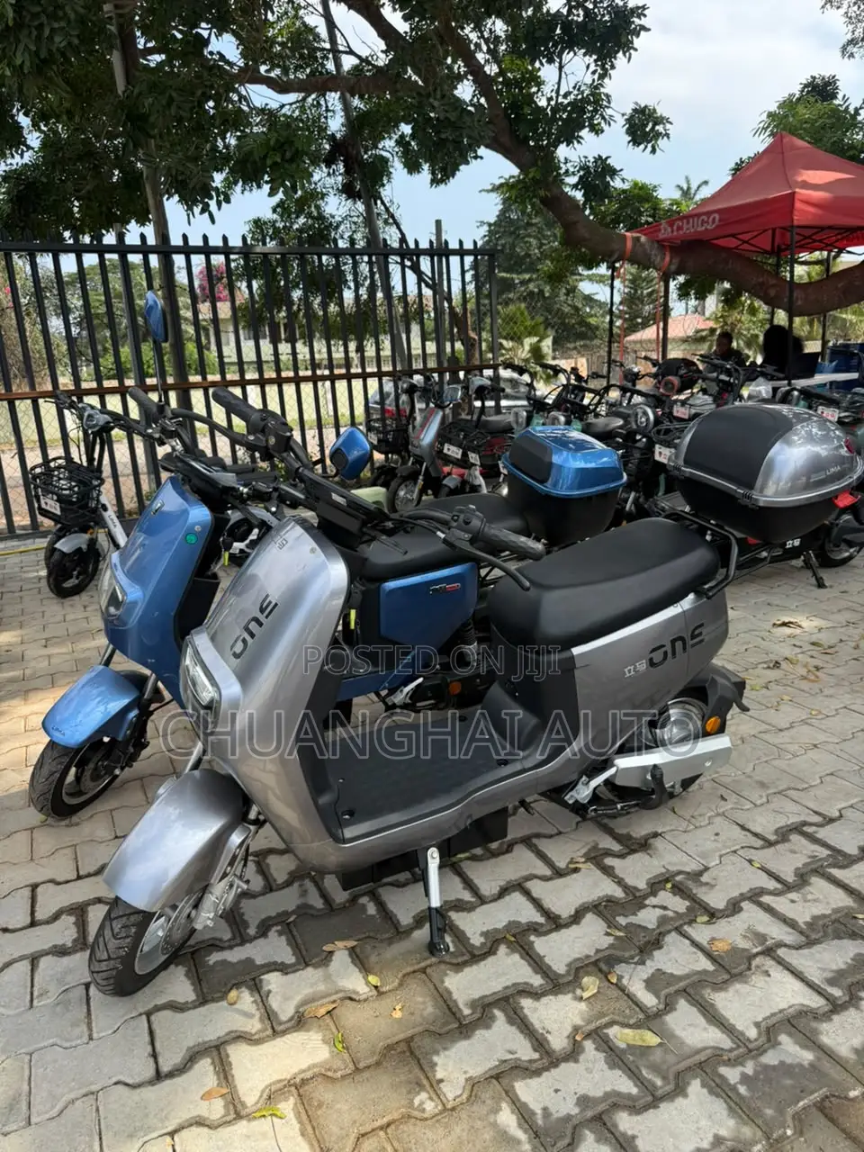 Electric Bikes