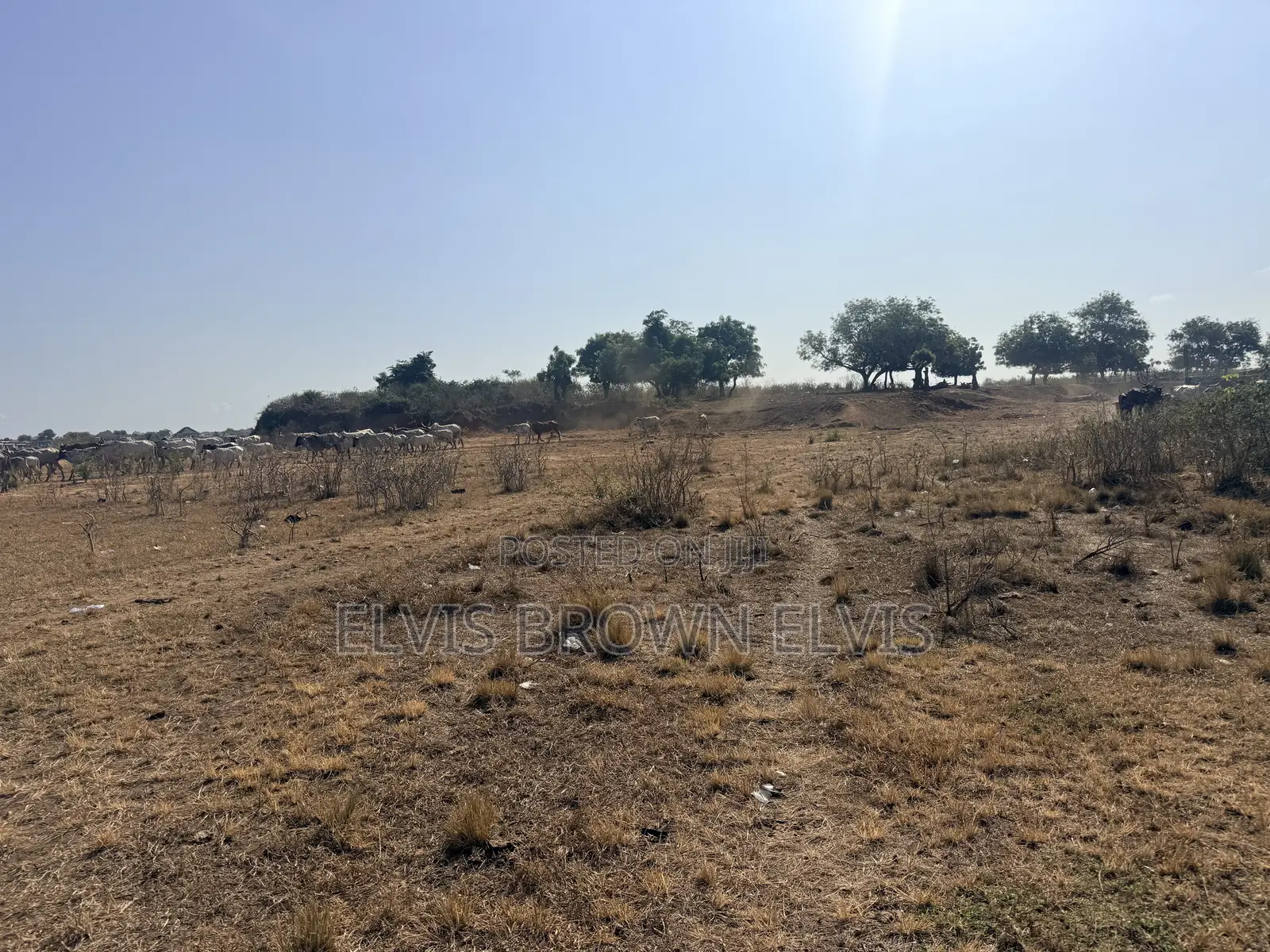 Buy a Genuine Plots of Land for Sale at Oyibi