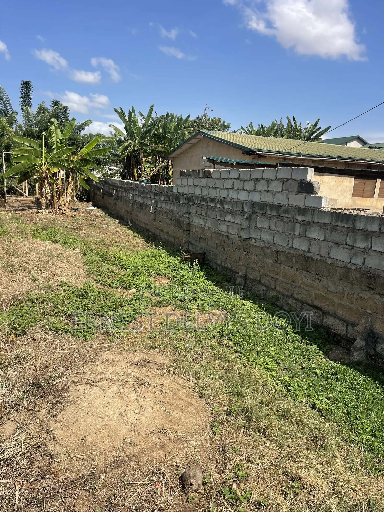 Land for Sale at Animal Research Adentan