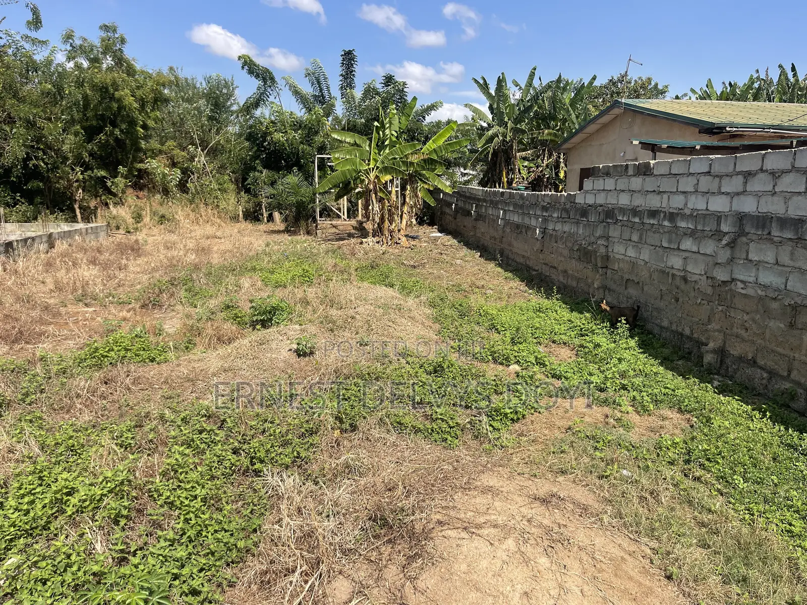 Land for Sale at Animal Research Adentan