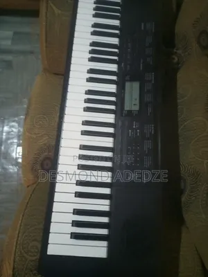 Musical Instrument for Church Party