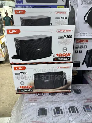 100watt Wireless Speaker