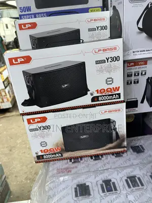 100watt Wireless Speaker