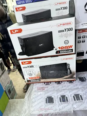 100watt Wireless Speaker