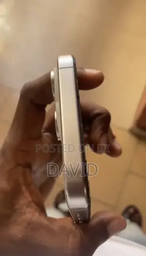 Apple iPhone 15 Pro Max 256 GB Gold