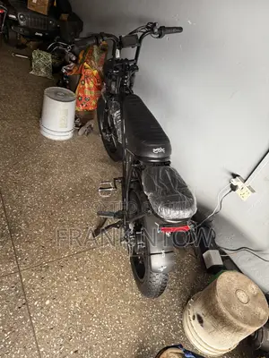 German Used V8 E-Bike With Two Batteries