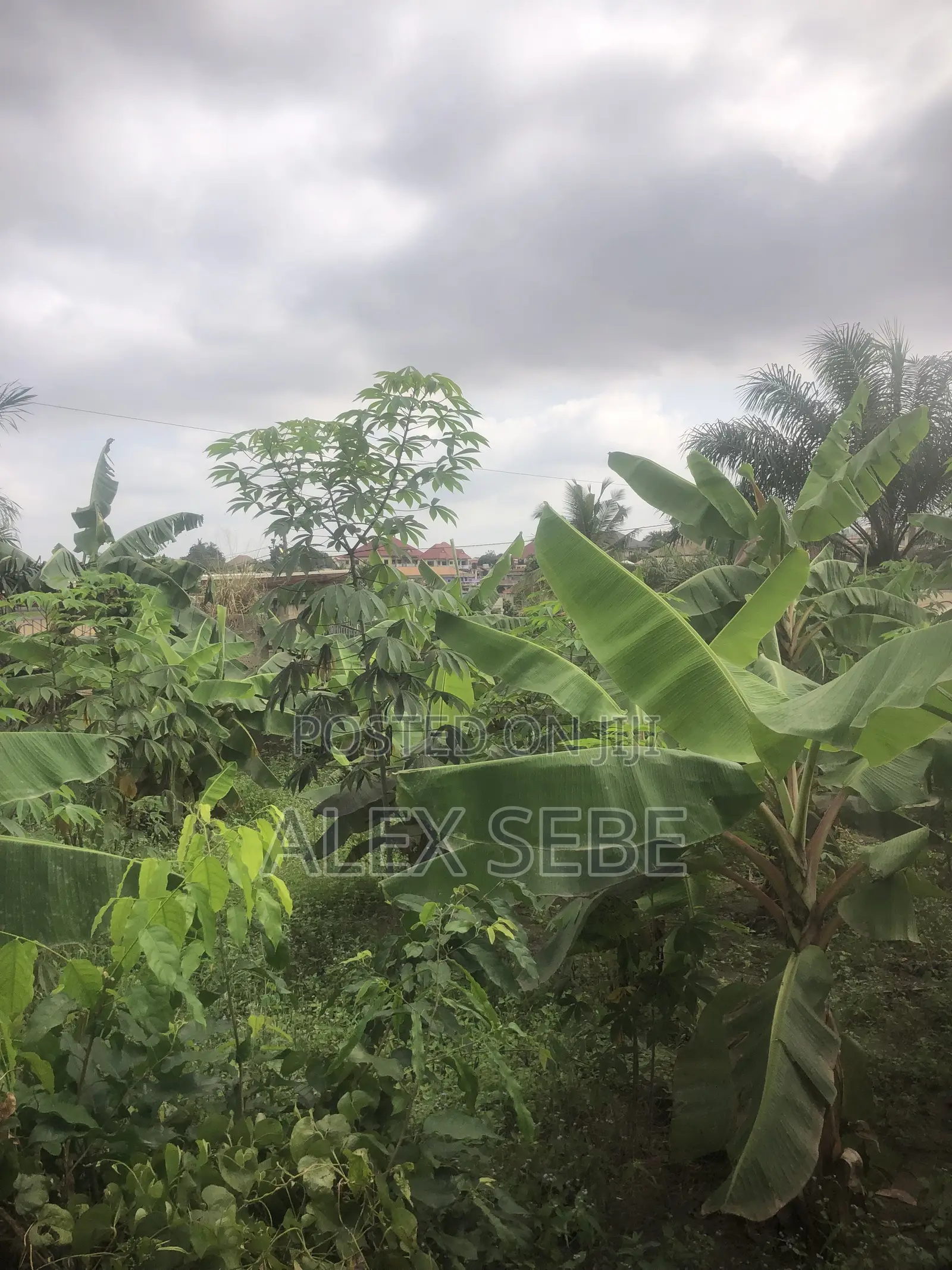 Land for Quick Sale
