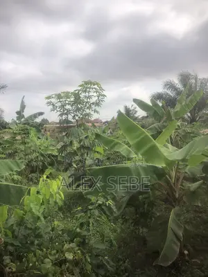 Land for Quick Sale