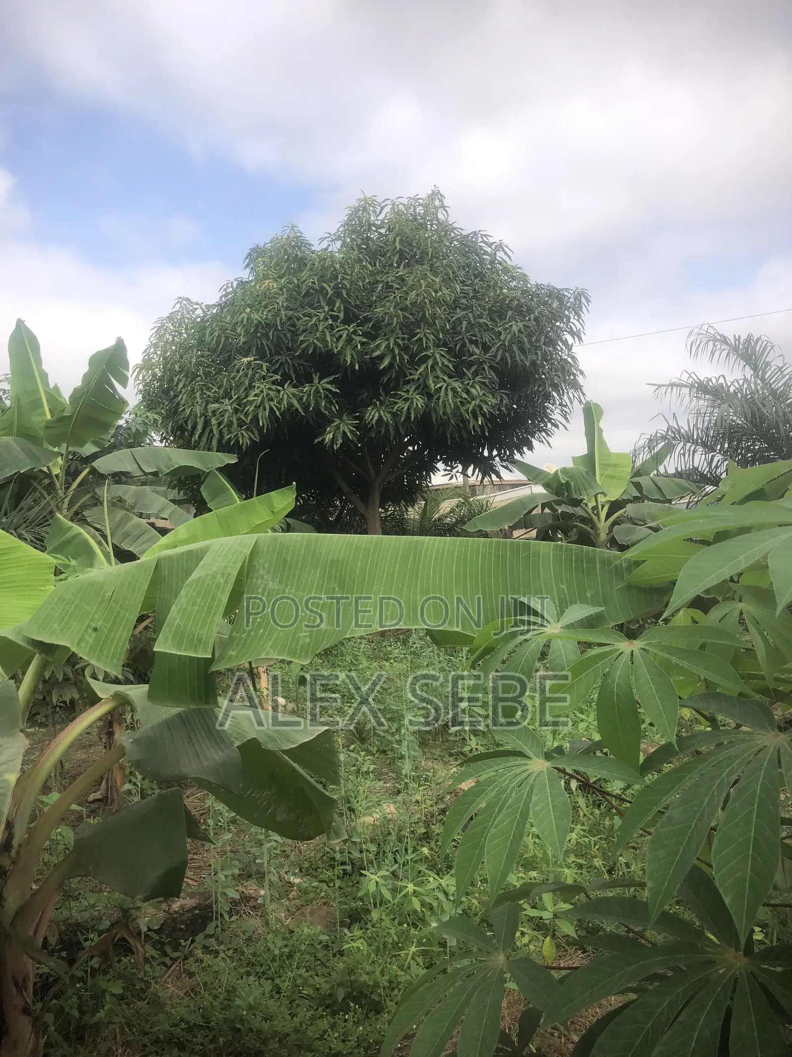Land for Quick Sale