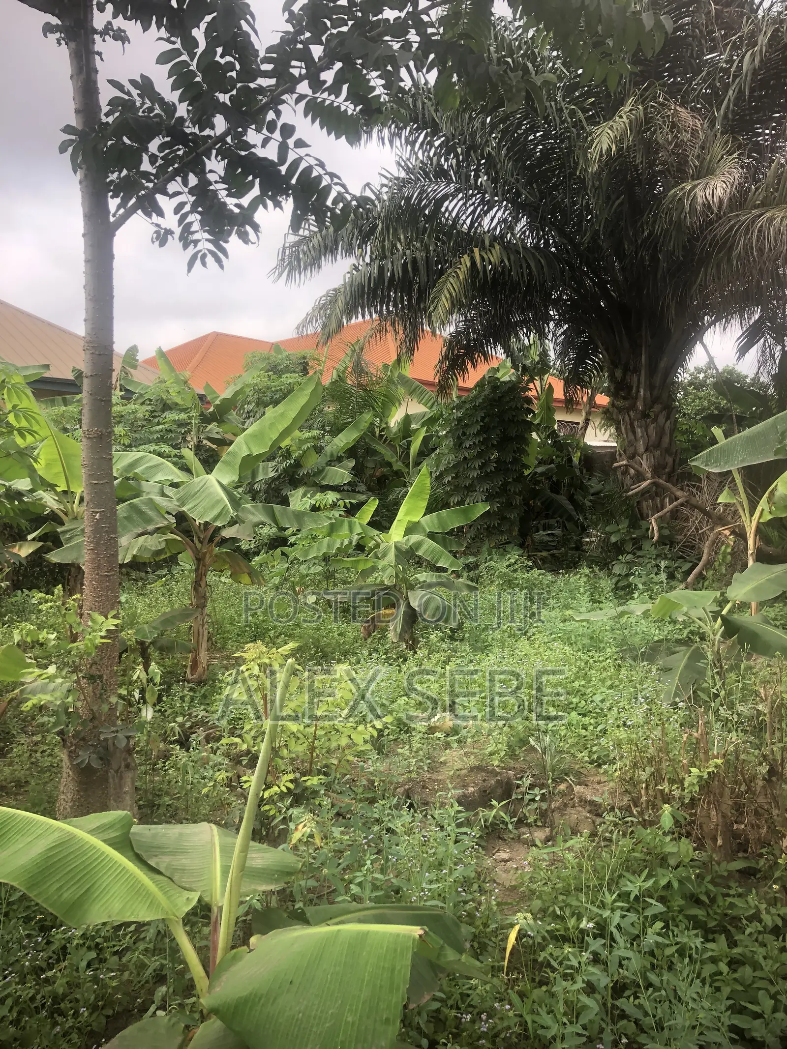 Land for Quick Sale