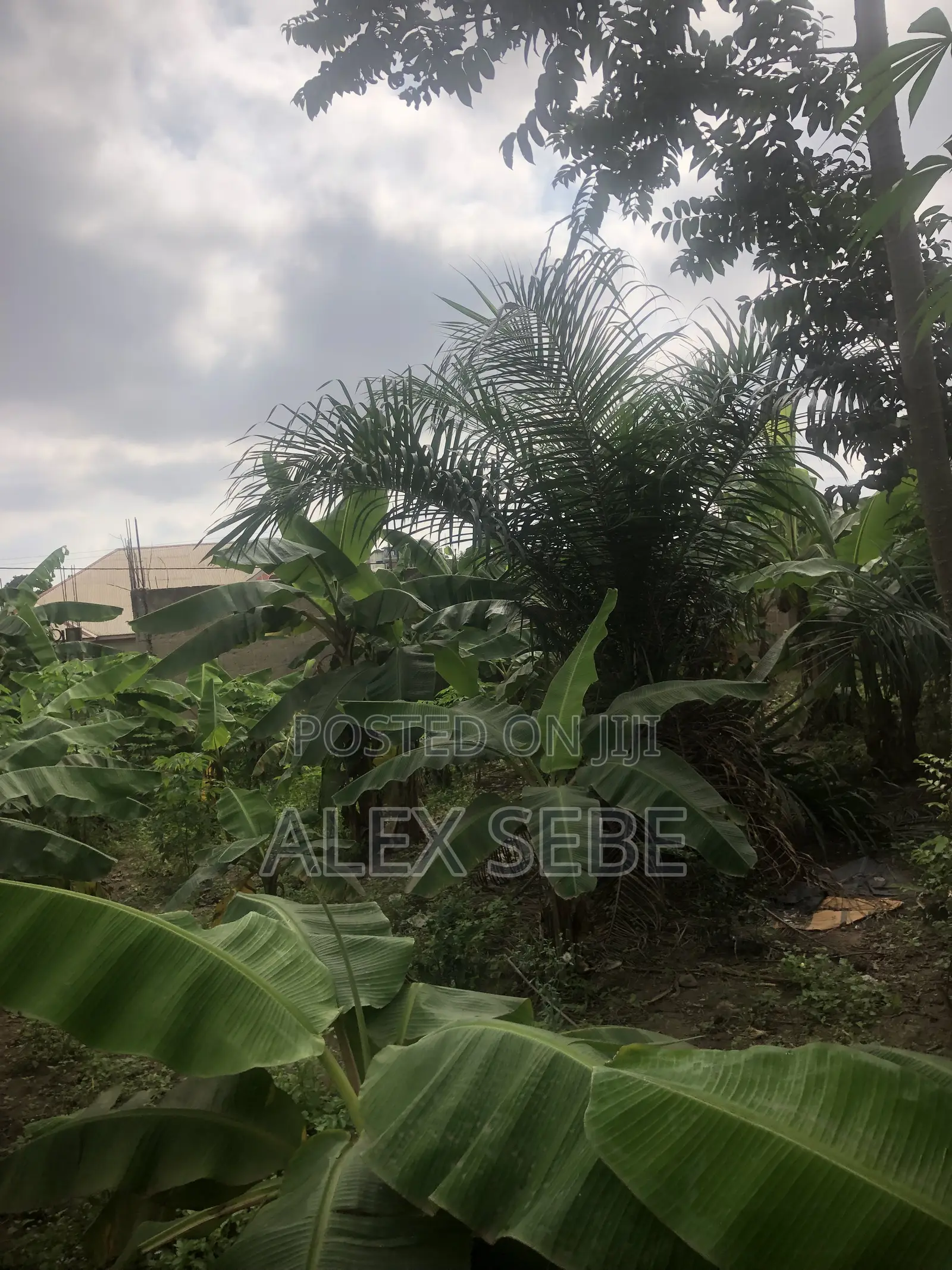 Plot of Land for Quick Sale