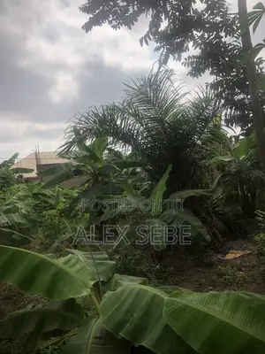 Plot of Land for Quick Sale