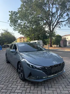 Hyundai Elantra 2021 Gray