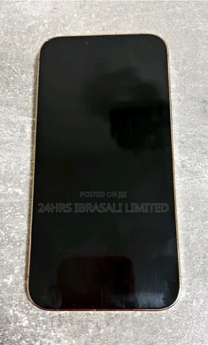 Apple iPhone 13 Pro Max 256 GB Gray
