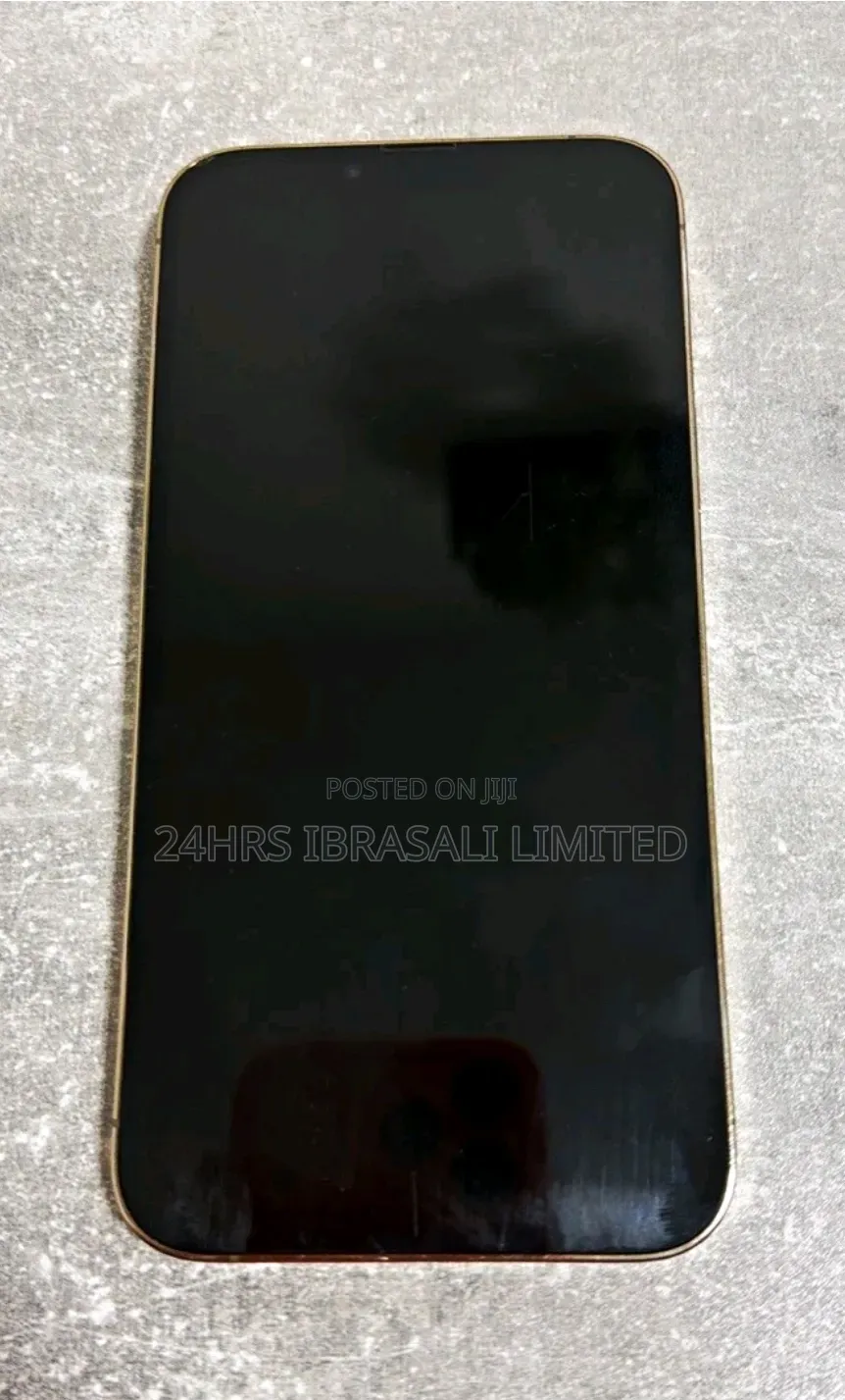 Apple iPhone 13 Pro Max 256 GB Gray