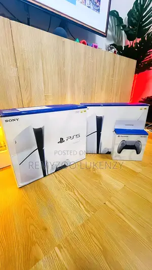 Ps5 Slim Disk