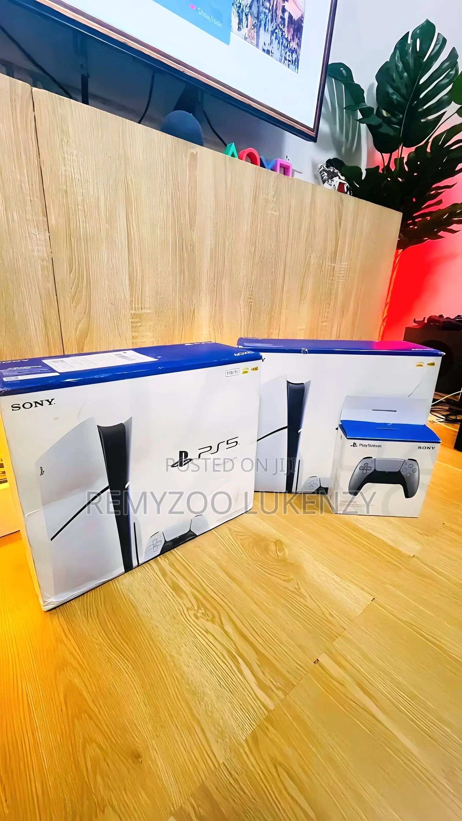 Ps5 Slim Disk