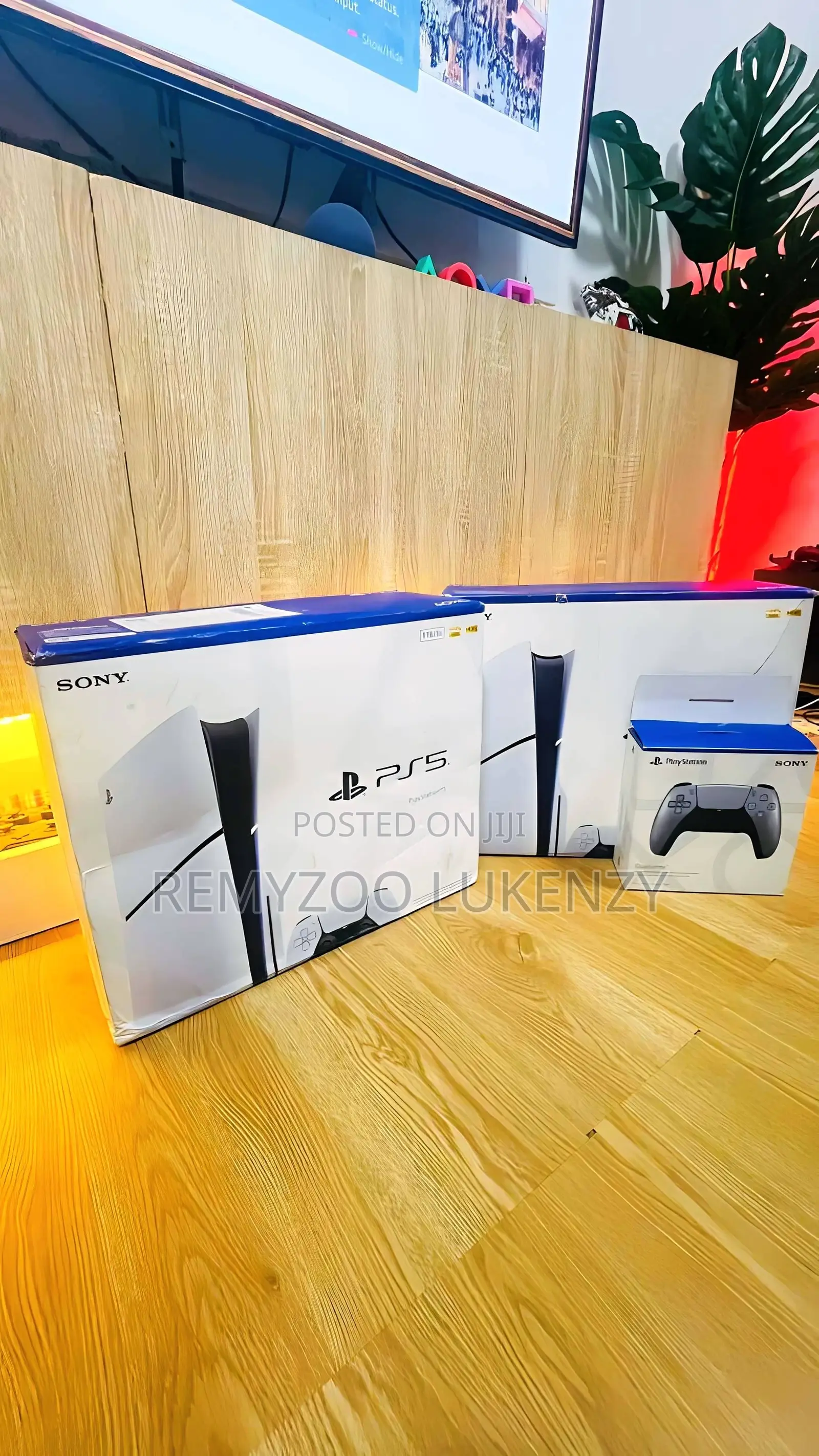 Ps5 Slim Disk