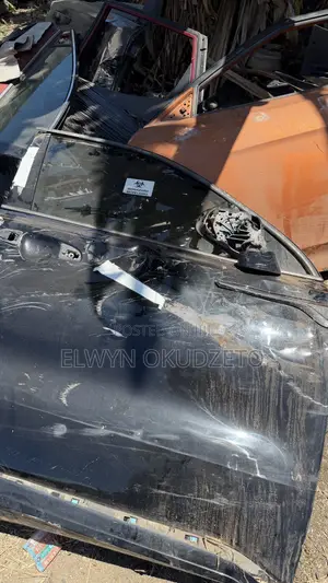 2021-2025 Hyundai Sorento Doors