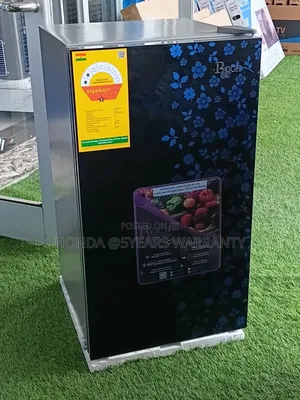 Roch Refrigerator With a Year Warranty