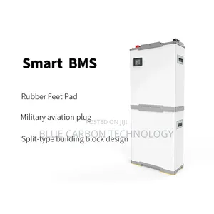 Blue Carbon Smart V48v 300ah Promo
