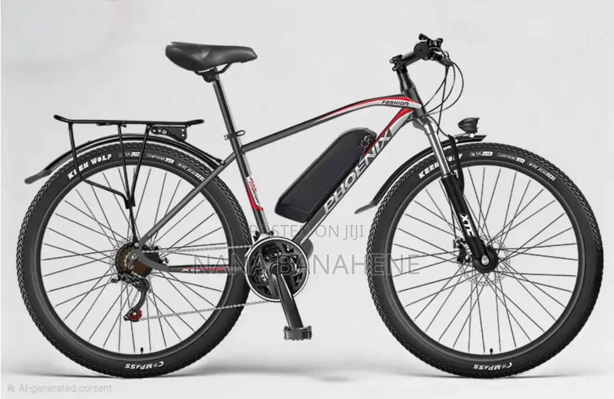 Brand New Mountain Electric Bike Full Acceleration Mode 45km/H Speed