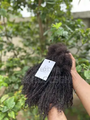 Human Hair Locs Extensions