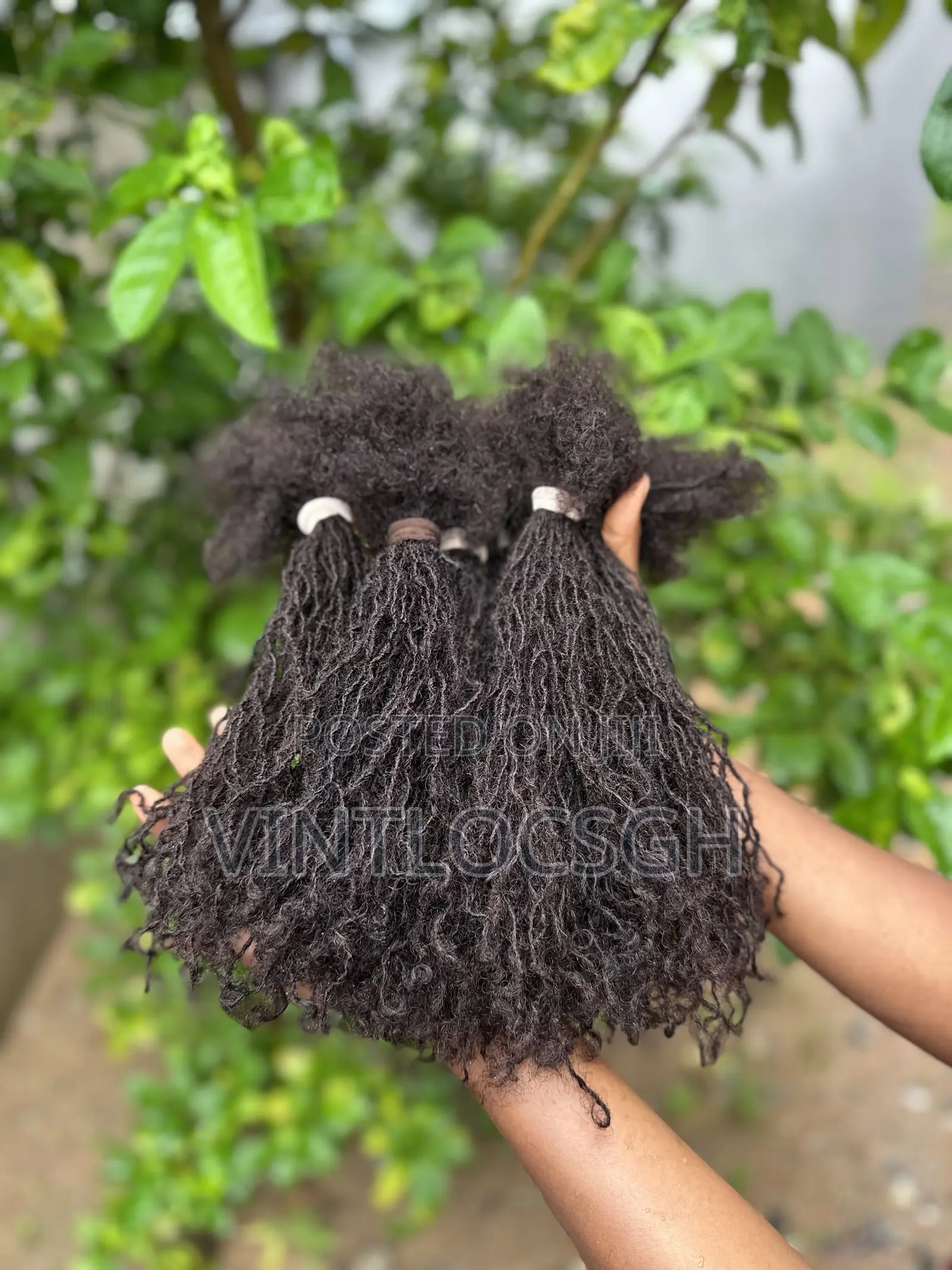 Human Hair Locs Extensions