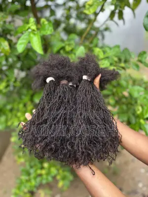 Human Hair Locs Extensions