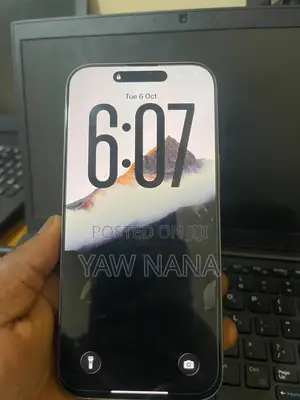 Apple iPhone 16 Pro Max 256 GB Gray