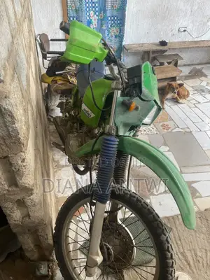 Kawasaki Bike 2005 Green