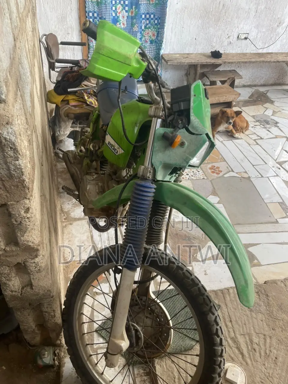 Kawasaki Bike 2005 Green