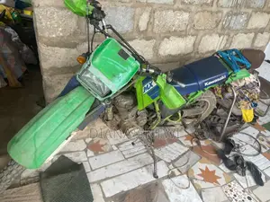 Kawasaki Bike 2005 Green
