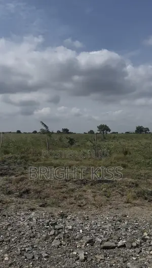 Plots of Land