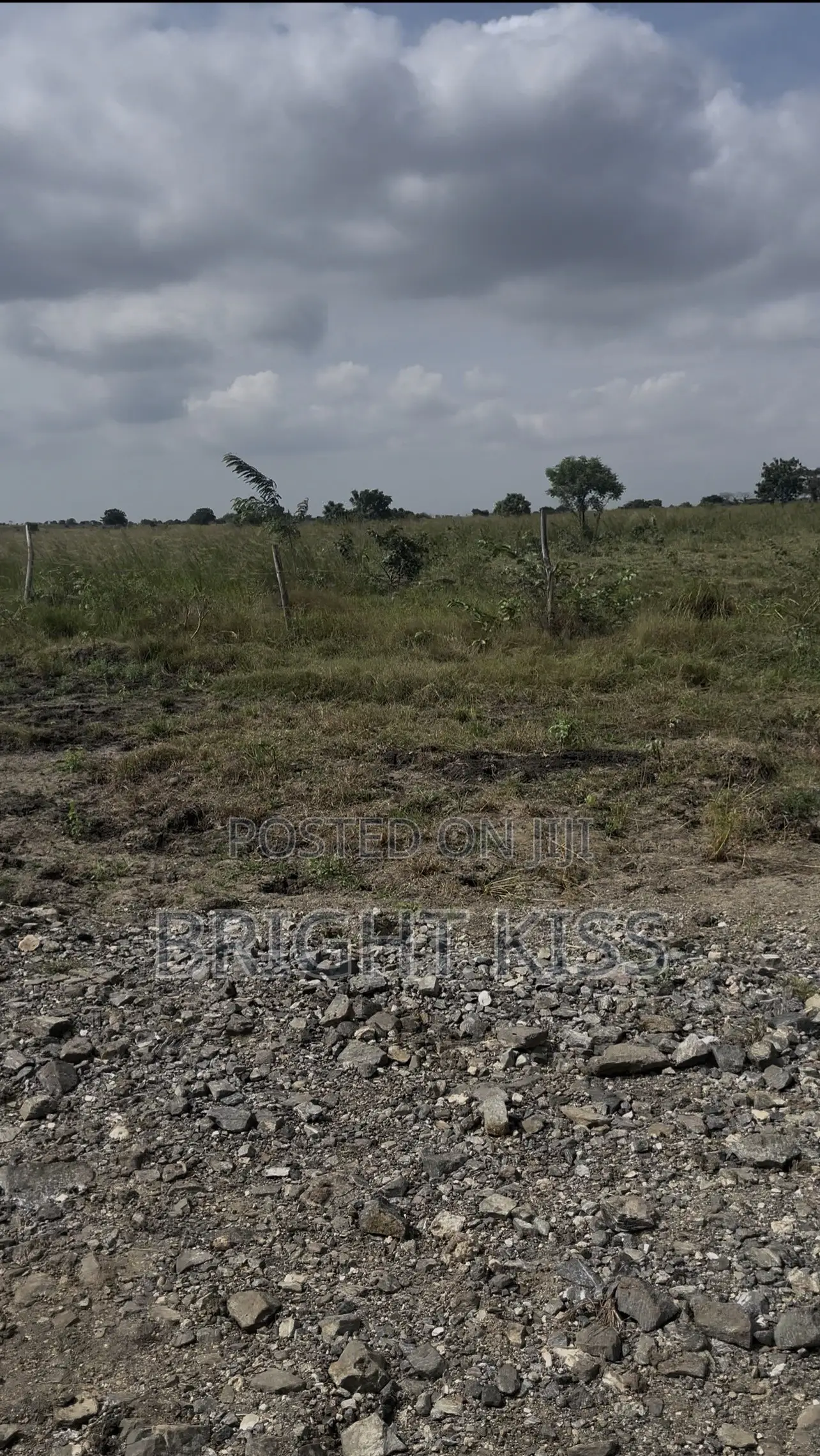 Plots of Land