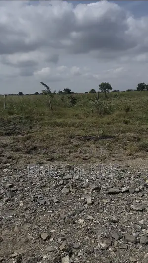 Plots of Land