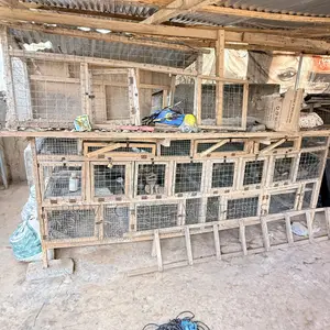 Wooden Cage With Mesh 12 Ft Length