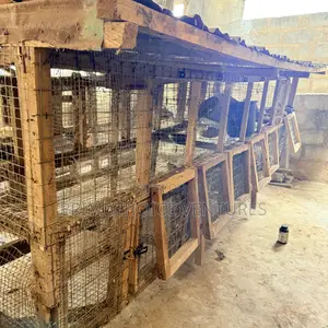 Wooden Cage With Mesh 12 Ft Length