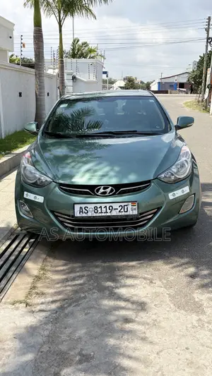 Hyundai Elantra Limited Sedan FWD (1.8L 4cyl 6A) 2013 Green