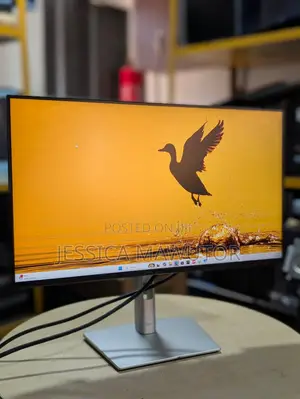 Dell - P2425H
