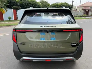 New Dongfeng Nammi 01 2025 Green
