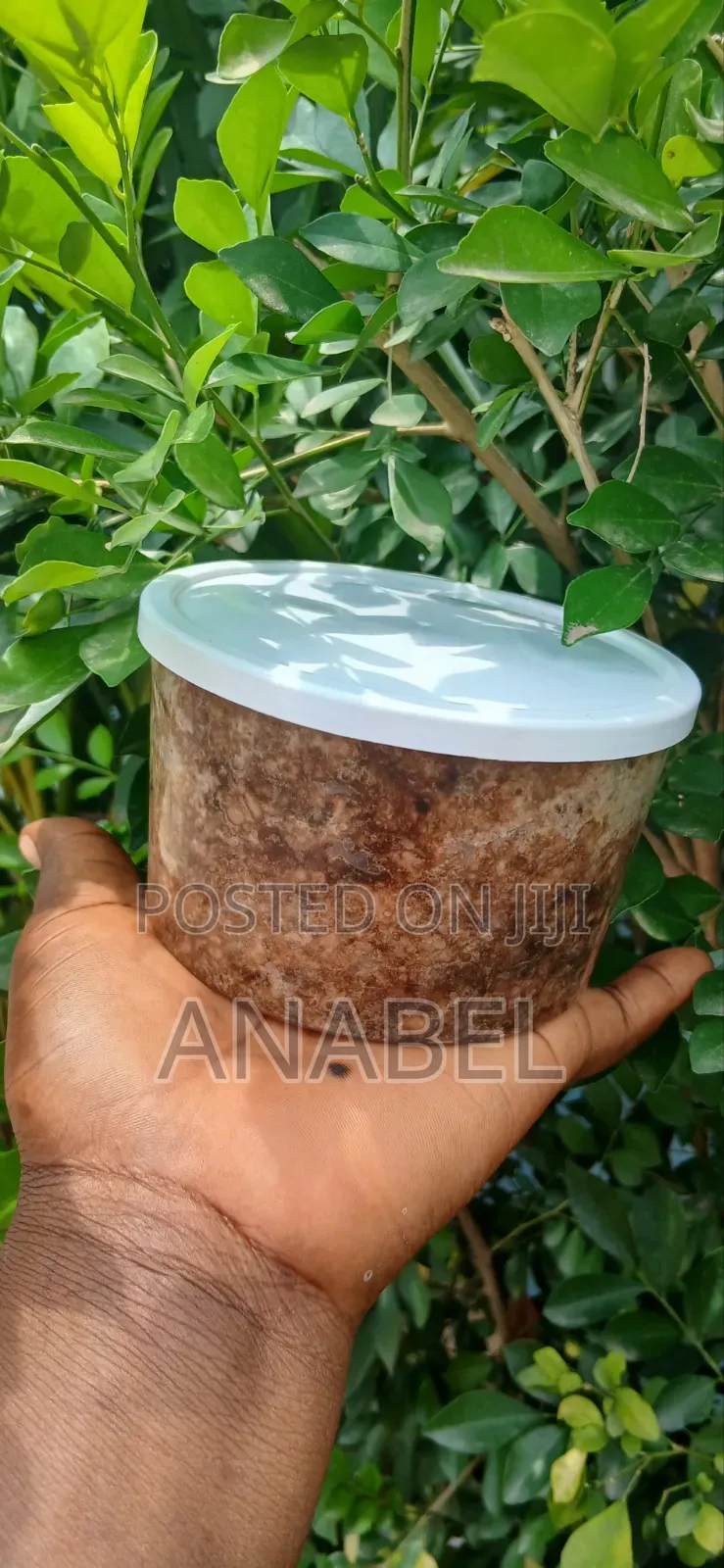 Century Traditional African Black Soap