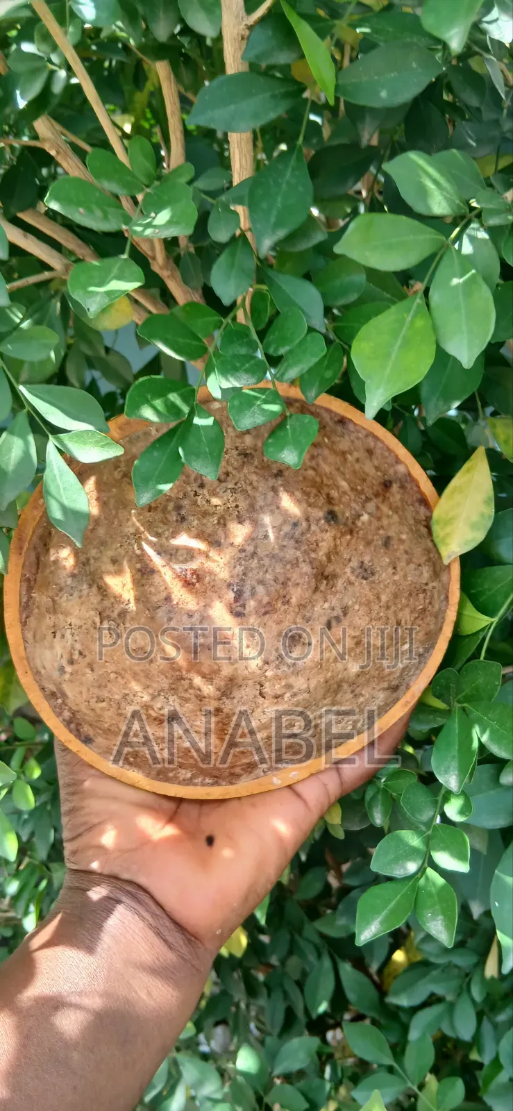 Century Traditional African Black Soap